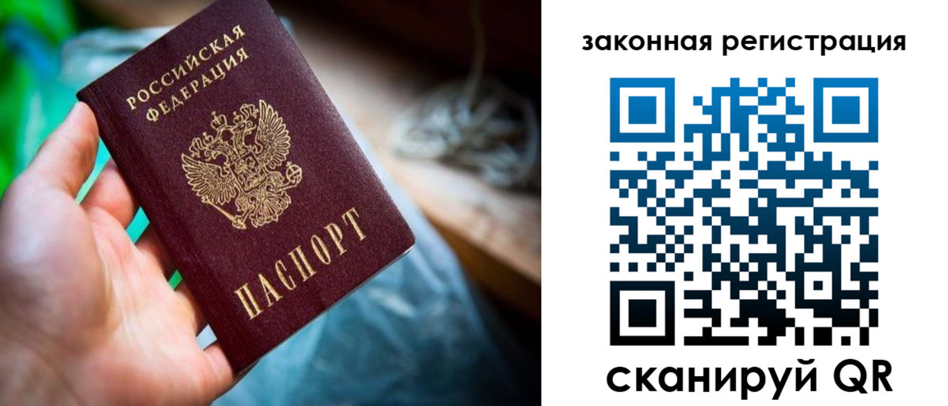прописка в Волгореченске